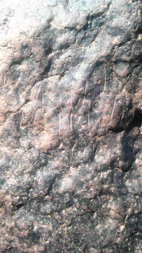 الشرعي موكل 8